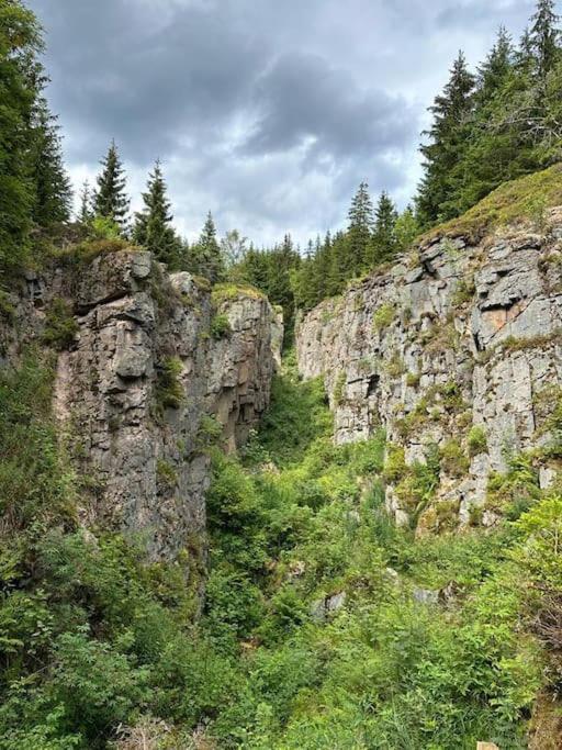 The Bridge - Between Newzealand & Oremountains * Eibenstock
